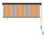 Roll-Up Blind