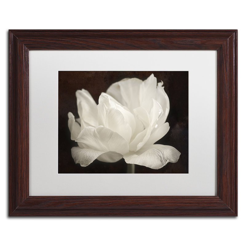 « white tulip iii », reproduction de photo sur toile encadrée, H 16 po x l 20 po x P 0,5 po, Brun