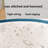 Trinx Fabric Decorative Bin-633713243
