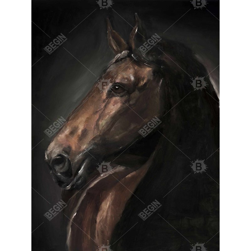 «Spirit the Horse» - Art sur toile encadré, animaux de ferme bruns