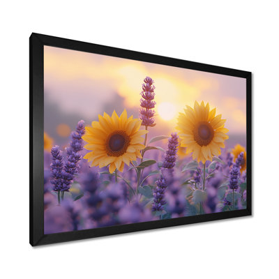 Creager Sunflowers In A Lavender Field - Sunflowers Large Wall Art