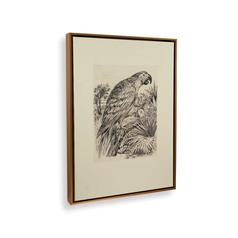 Illustration de perroquet par Stellar Design Studio, reproduction d'art, L 12 po x H 16 po, Toile avec cadre, Doré