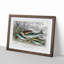 Fished Salmon & Trout by Oliver Goldsmith - Picture Frame Graphic Art Print-55609210-55609212