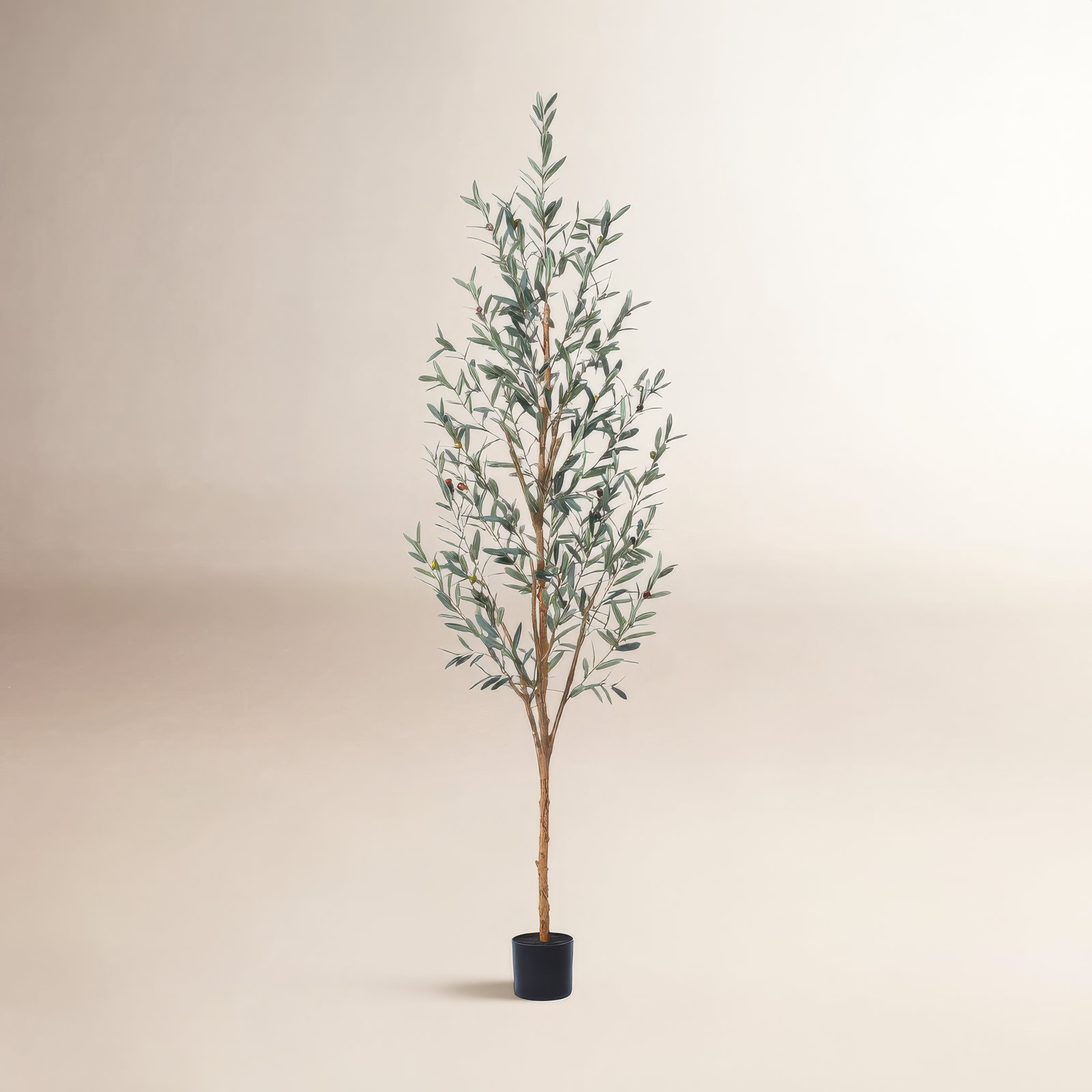 Adcock Olive Tree in Pot, 84" H x 28" W x 28" D