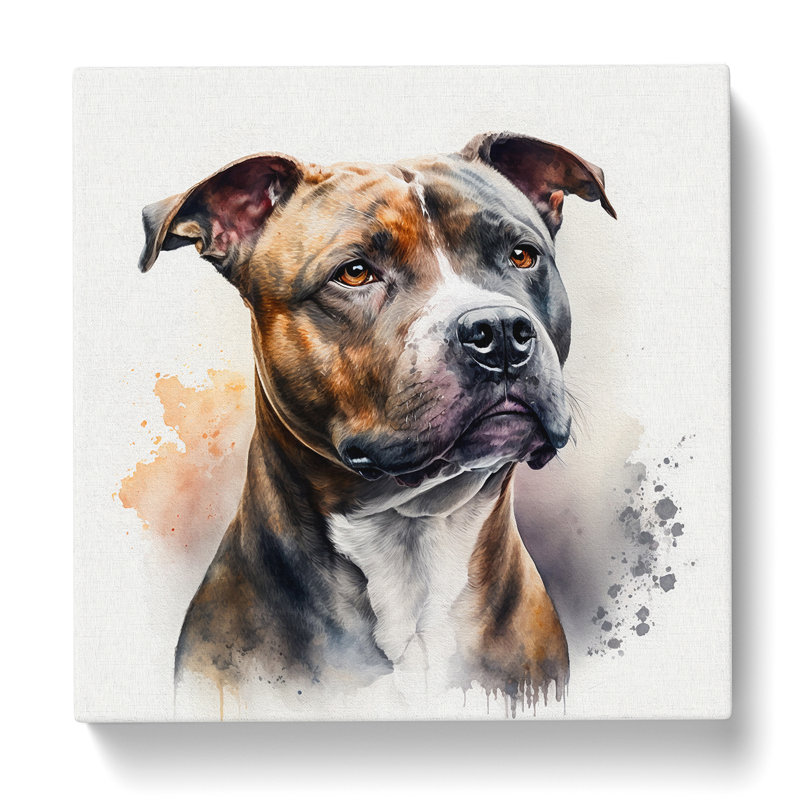 Staffordshire Bull Terrier - Wrapped Canvas