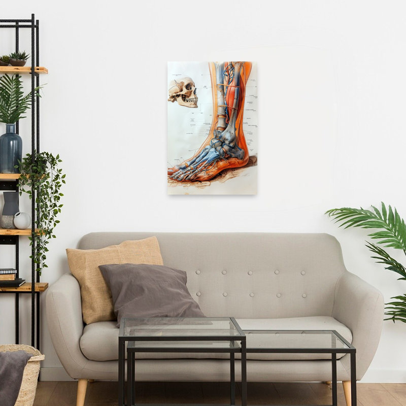«Anatomical Leg and Skull», art mural rétro, H 24 po x l 16 po