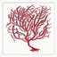 Red Branch Coral 3 Print by Lillian August