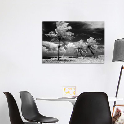 1960s Infrared Scenic Of Tropical Palm Trees Blowing In Storm Florida Keys USA - Wrapped Canvas Print