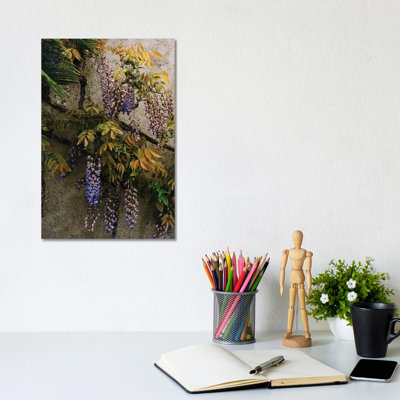 Positano Blooms VIII by Bethany Young - Print on Canvas