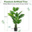 152cm Plant