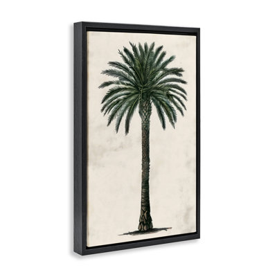 Cadre flottant Botanical Palmier, design par LSR Design Studio