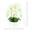 Orchid Arrangement in a Round Ceramic Vase