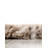 Tarquinio Rug-1033543000-1033542979