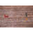 Gabbeh Oriental Area Rug 8x10