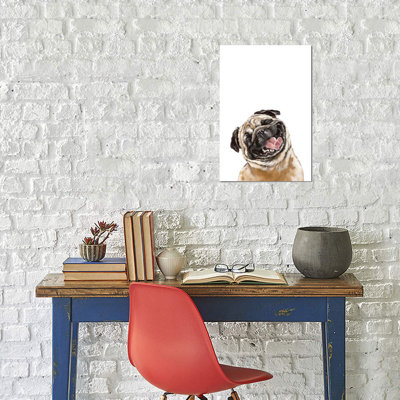 «Big Laose», reproduction sur toile tendue Big Nose Work