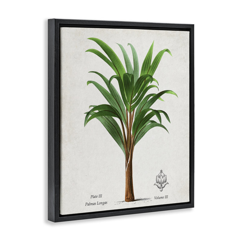 Cadre flottant Palmas Longas Palm, design par Val Rhodes, H 31 po x l 25 po, Cadre flottant noir de jais