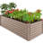 Rosonda Outdoor Metal Raised Planter Box-127370192-82630697