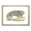 Iguana by George Shaw - Framed Print-55642040-55642044