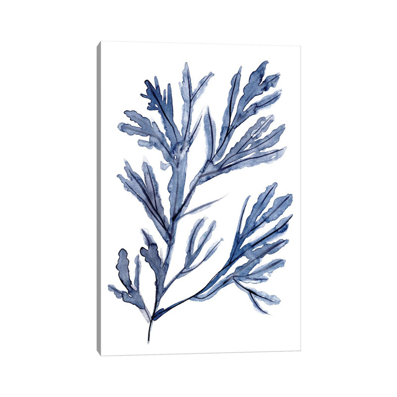 Seaweed Under Water I by Melissa Wang - Wrapped Canvas Gallery-Wrapped Canvas Giclée, 30.48cm H x 20.32cm W x 1.9cm D