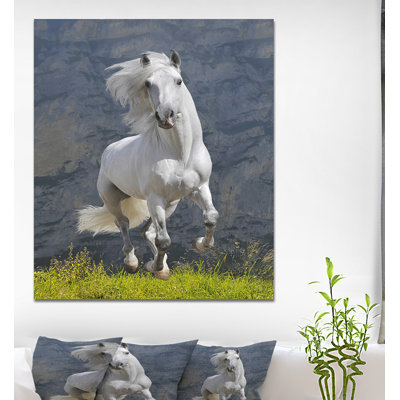 Reproduction de photo sur toile tendue "campagne" white cheval runs gallop "