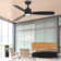 Emidia Standard Ceiling Fan with LED Lights Indoor