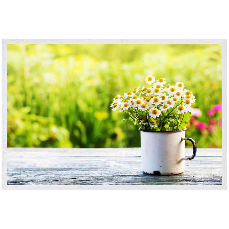 Baltzer Spring Daisies - Single Picture Frame Print, 41cm H x 61cm W x 4cm D, White