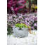 Pot à fleurs en ciment Joynae