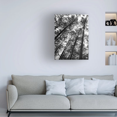 Paysage, arbre foncé, forêt, 2 pièces