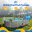 Steel Oval Hard Sided Pool 52'' H x W x L , with Pump Included-6990318