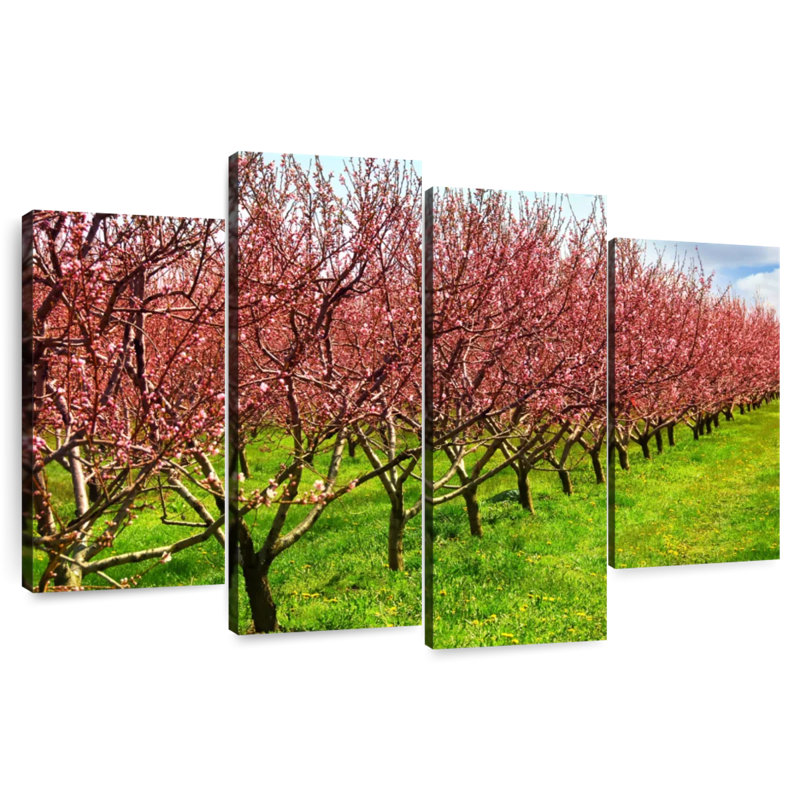 Fleurs de Harnek Peach Orchard, H 22 po x l 36 po