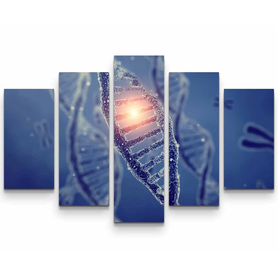 5-tlg. Leinwandbilder-Set Dna