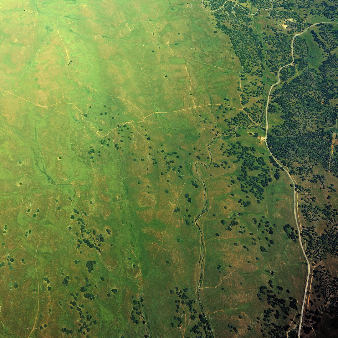 California Green Pastures von Slobo - Leinwandbild