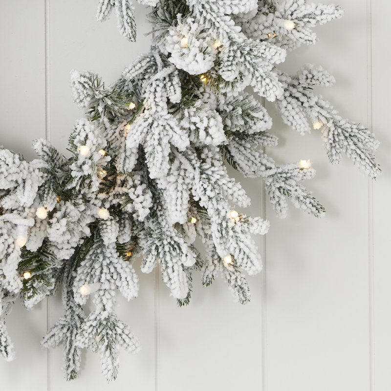 Couronne Dandan, Vert/blanc