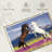 Brampt Playful Horses-107681424