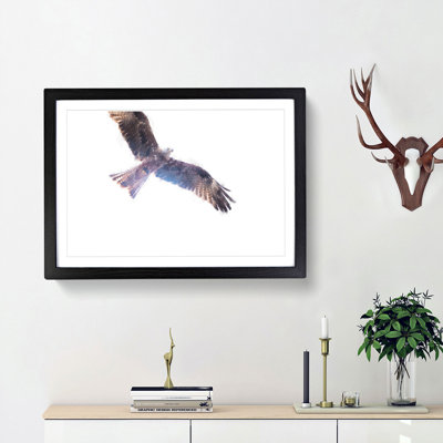 Flying Eagle - Picture Frame Graphic Art Print