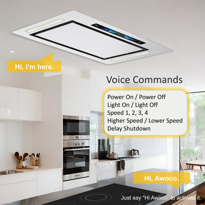 Awoco 30" 800 CFM Ducted Flush Mount Ceiling Insert Range Hood In Stainless Steel With Voice/Gesture/Touch Control AWC-RH-IT06-GV30
