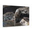 «Bandicoot Hunting Bandicoot on Hunt», reproduction d'art mural-1502204002