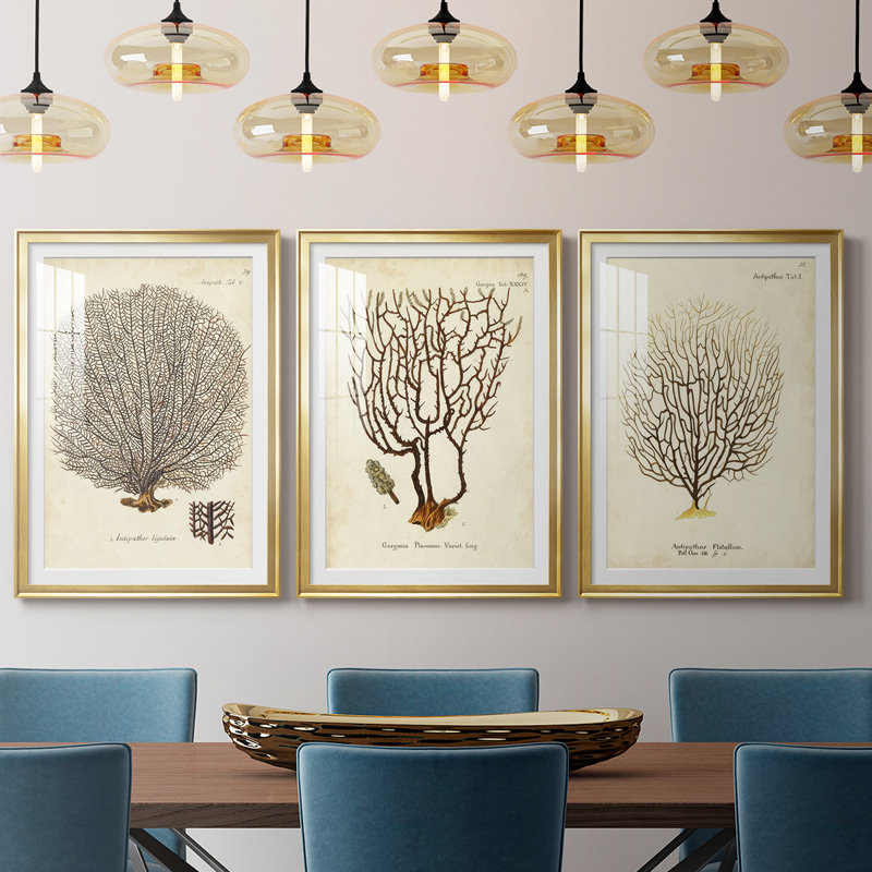 Esper Sea Fans I - reproduction sur mesure encadrée de qualité supérieure - 3 pièces, H 21 po x l 30 po, Doré