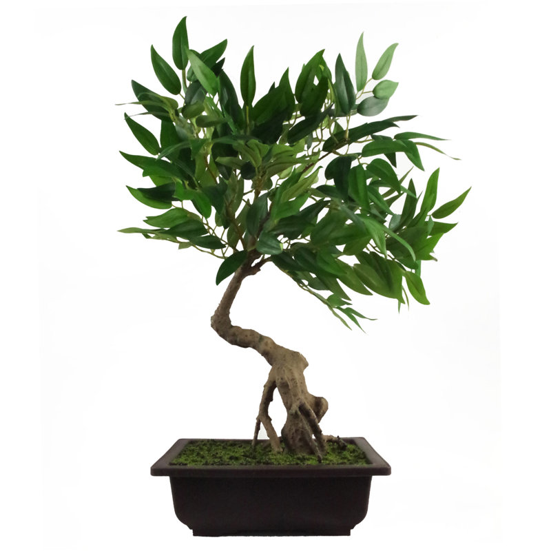 Anlin 50cm Faux Acacia Tree in Pot