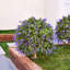 Boule de topiaire artificielle Adcock avec piquet - plante de buis artificielle résistante aux rayons UV pour porche extérieur et décoration de jardin - grand diamètre de 20 po-1785772450-1785772474