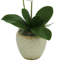 Orchid Faux Floral Arrangement in Vase