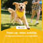 Lit pour chien d'extérieur Pawhut-2011772516
