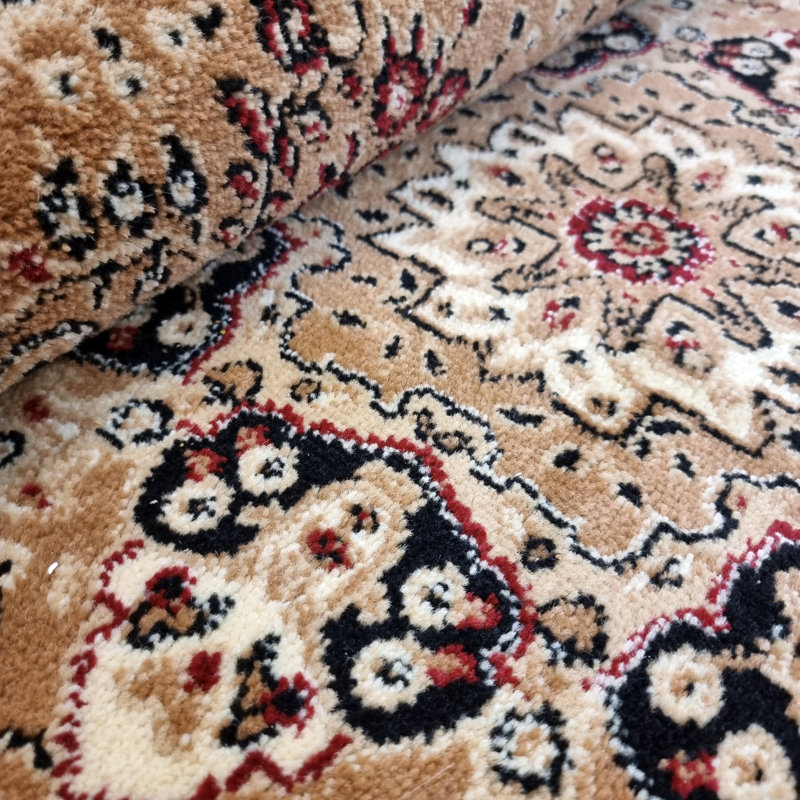 Arranjeet Oriental Area Rug, Rectangle 120 x 170cm