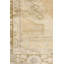 Tapis en laine orange/brun noué la à la main antique Sivas