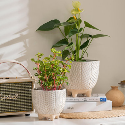 Tierney Ceramic Pot Planter