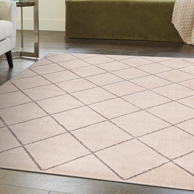 Latitude Run® Checks Novica Rug White and Silver