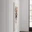 Sepia Florals IV Print by Paul Ngo-26726909-26726915