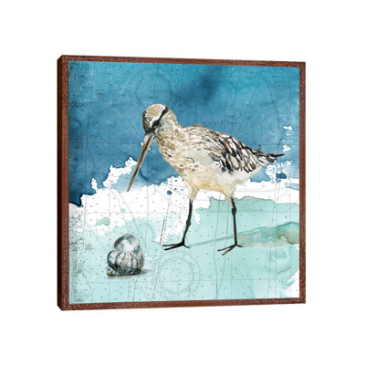 Bay Shore Sandpiper II by Carol Robinson - Print on Canvas