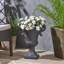 DELPHINE URN-1722404269