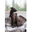 Couverture en laine lavable Chalet-1300543509-1294859344